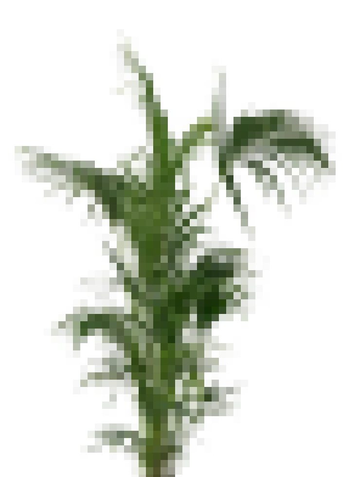 Description 1